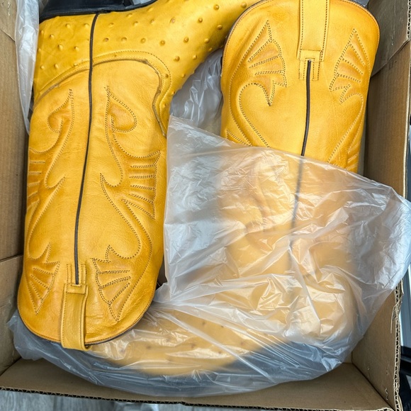 BOTAS TAURO PAIR OF MENS BUTTERCUP OSTRICH PRINT BOOTS WITH POINTED TOE New - Picture 2 of 2